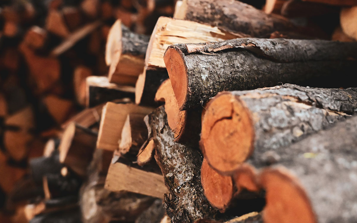 Cómo elegir buena leña de encina para tu chimenea